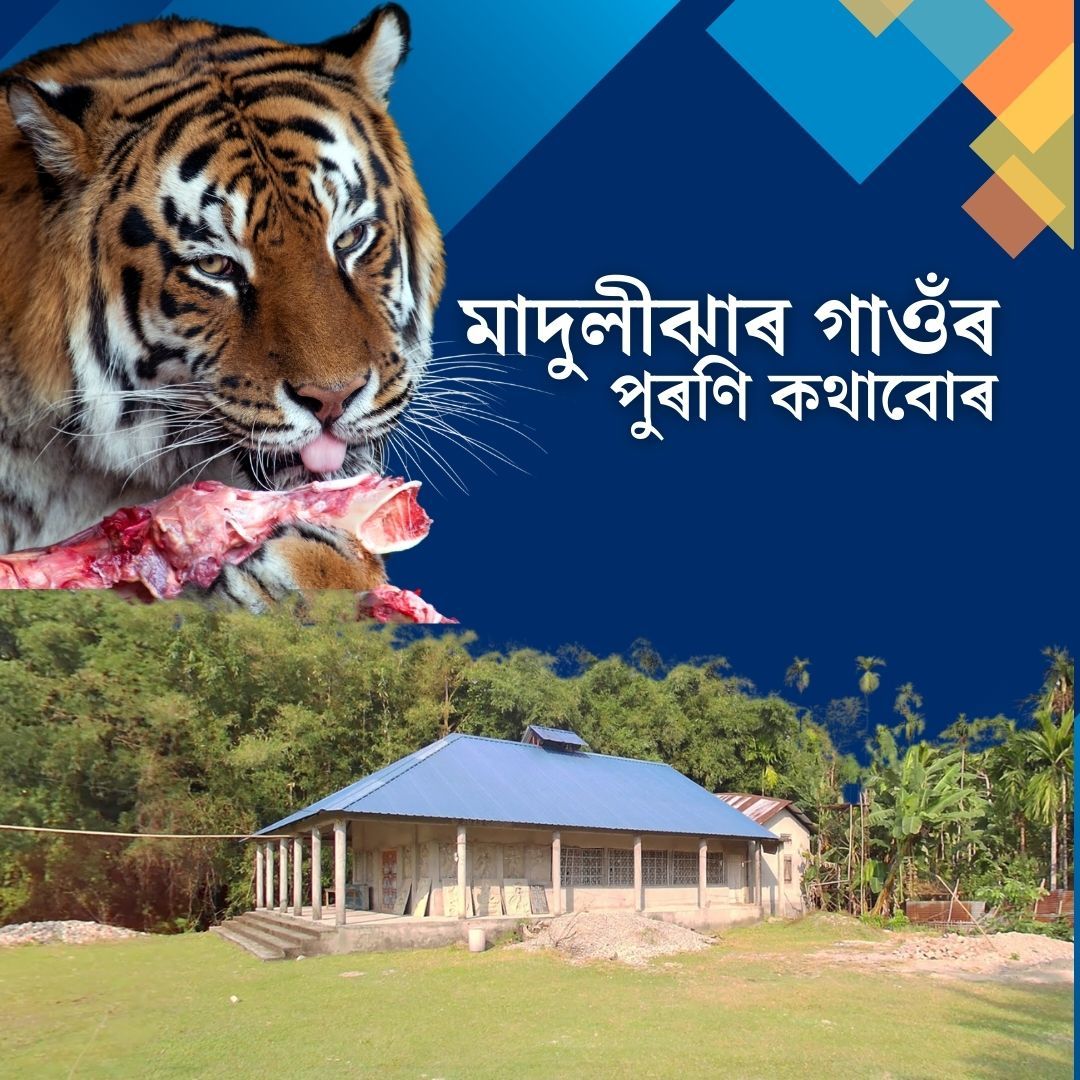 Mdulijhar howly